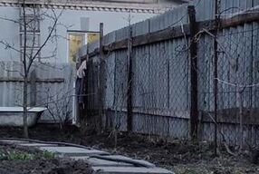 Vegetable garden in order