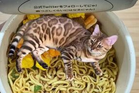 in places you never imagined.