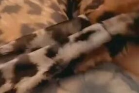 HOME ALONE MASTURBATING TO ORGASM