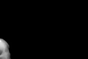 cazzo enorme squirta precum e sborra all'aperto B&W IG:dodgyitalian1991