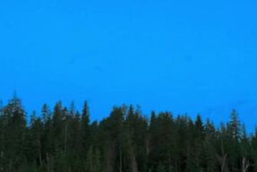 Tattooed brunette slut goes skinny dipping