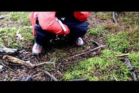 Yet another hiking piss, I'm doing that just by the hiking trail