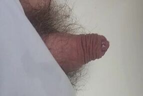 Pissing in the plastic pot