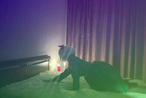 ОТ ЭТОГО ТАНЦА МУЖЧИНА КОНЧИТ.